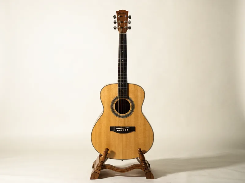 Acoustic guitar